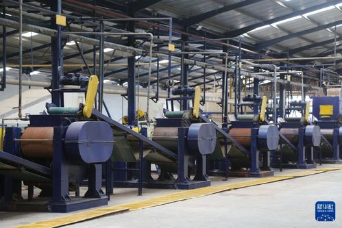 中非共繪非洲農(nóng)業(yè)發(fā)展藍(lán)圖 鏡頭下的合作與希望